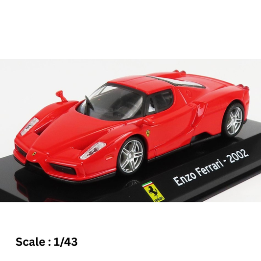 FERRARI - ENZO 2002 - CON VETRINA - WITH SHOWCASE