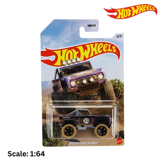 Ford Bronco Custom #23