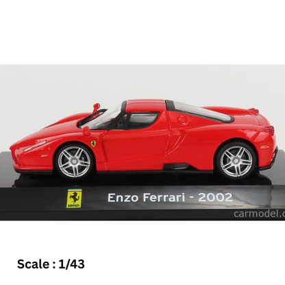 FERRARI - ENZO 2002 - CON VETRINA - WITH SHOWCASE